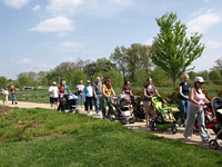 09 Strollers and All